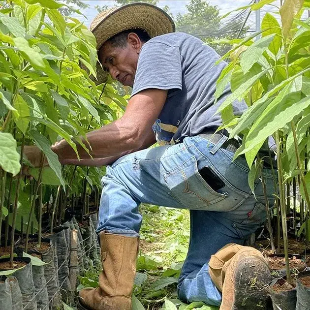 Contadino che lavora in un campo