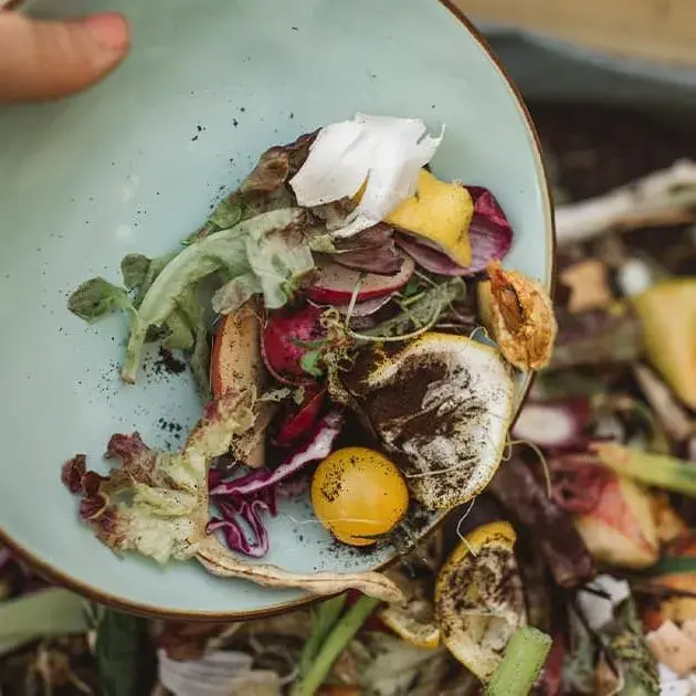 Piatto con verdure appena coltivate e sporche di terra