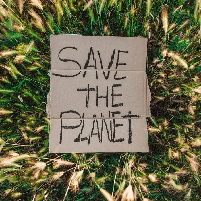 cartellone di cartone con su scritto Save the planet