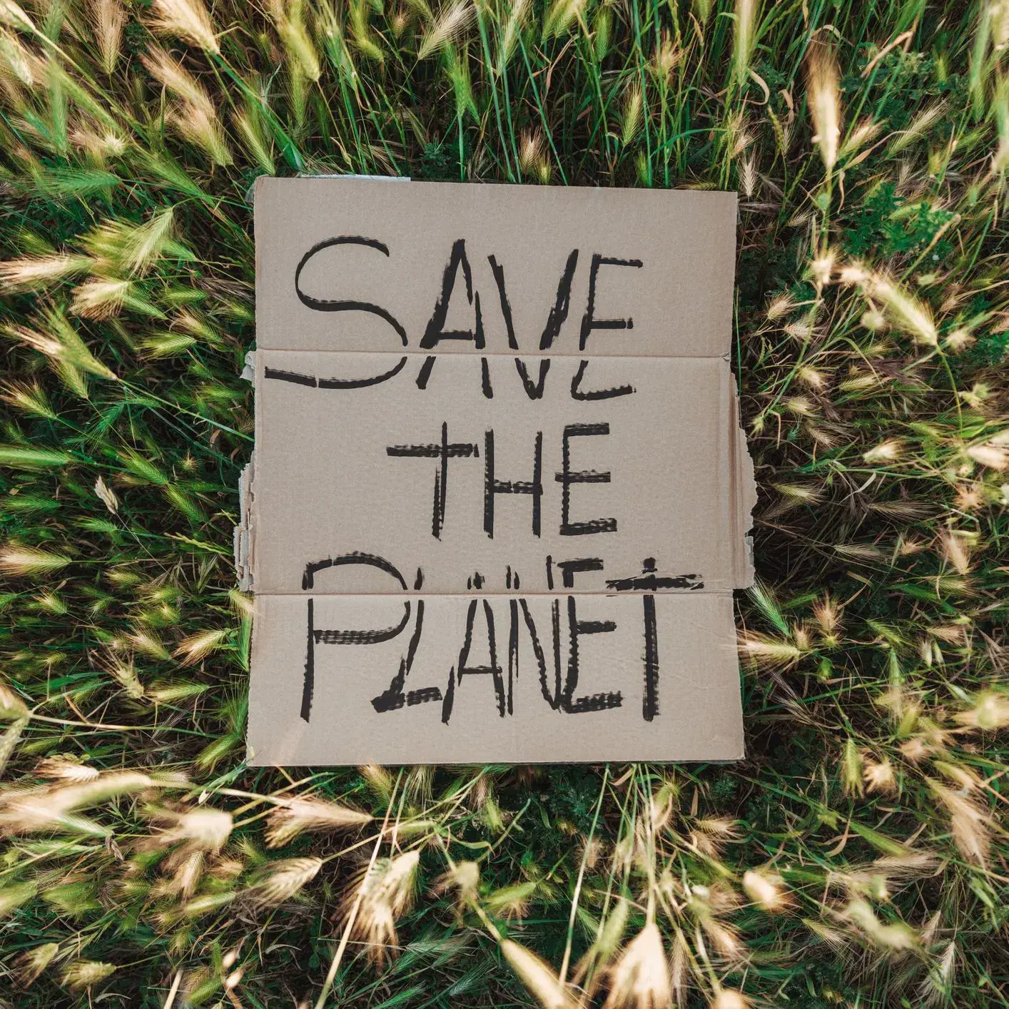 cartellone di cartone con su scritto Save the planet