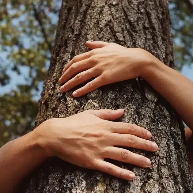 Persona che abbraccia il tronco di un albero